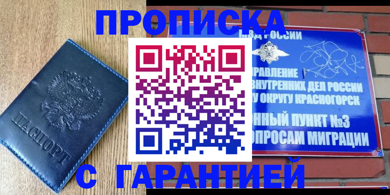 регистрация в Стародубе